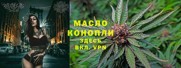 крисы Бронницы
