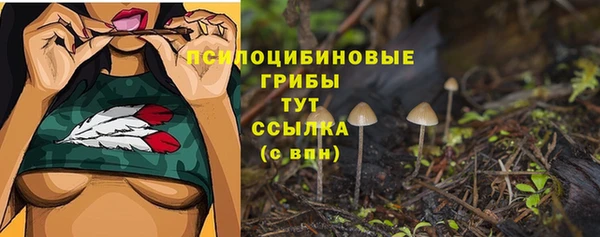 меф Медногорск
