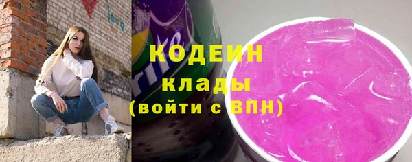крисы Бронницы