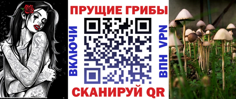 Псилоцибиновые грибы Psilocybe  где купить наркоту  Дивногорск 