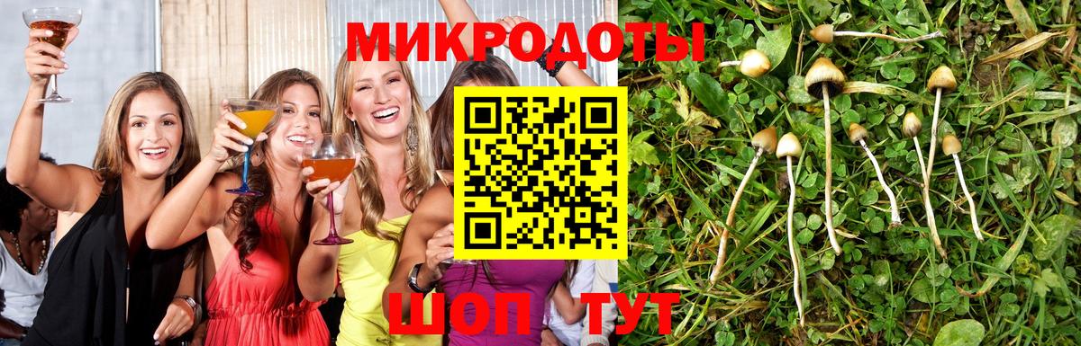 Галлюциногенные грибы Psilocybine cubensis Дивногорск