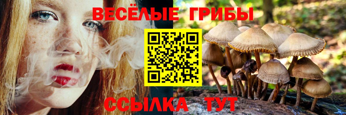 Псилоцибиновые грибы MAGIC MUSHROOMS  цены   Дивногорск 